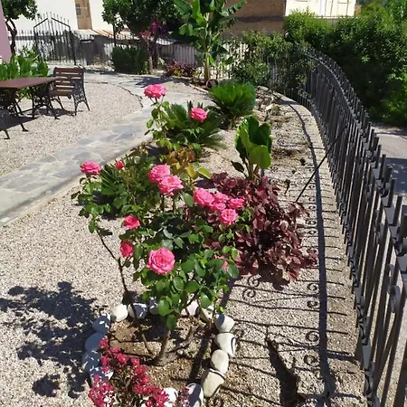 Nymphes * Селианитика