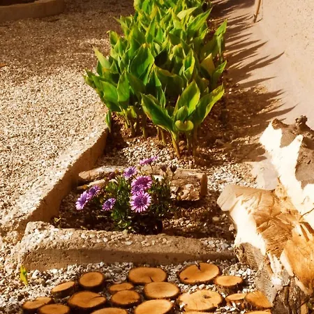 Апартаменты Nymphes *