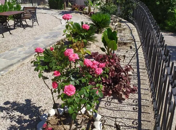 Nymphes * Selianítika