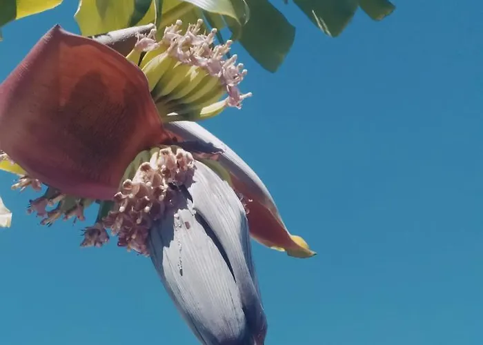 Apartman Nymphes Szelianítika