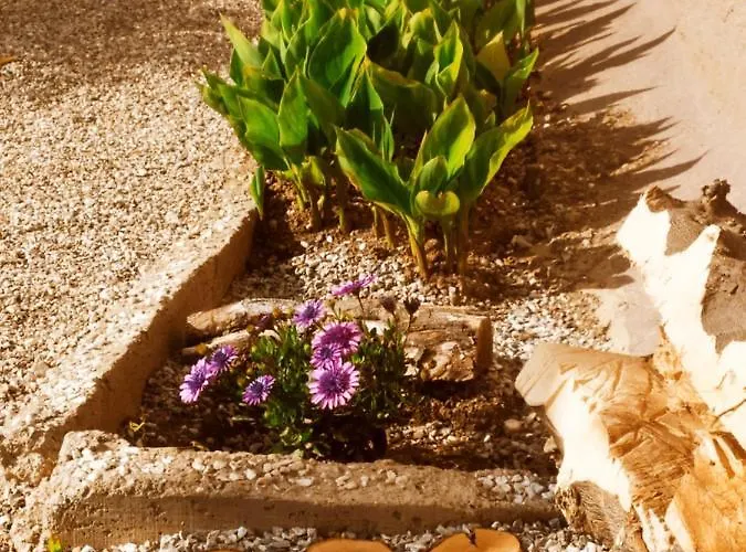 Appartement Nymphes *